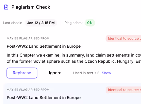 Litero AI's plagiarism checker showing 9% similarity with options to rephrase or ignore flagged text.
